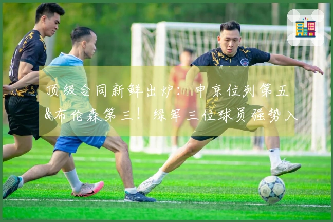 顶级合同新鲜出炉：申京位列第五&布伦森第三！绿军三位球员强势入围！前两名极为罕见