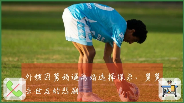 外甥因舅妈逼离婚选择谋杀，舅舅去世后的悲剧