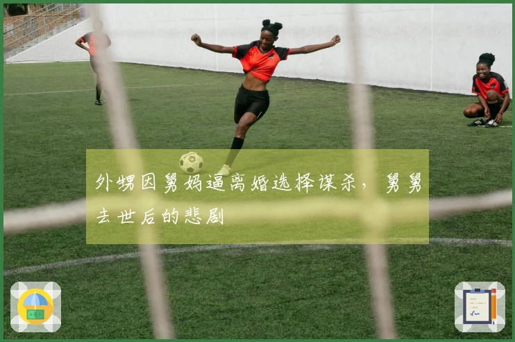 外甥因舅妈逼离婚选择谋杀，舅舅去世后的悲剧